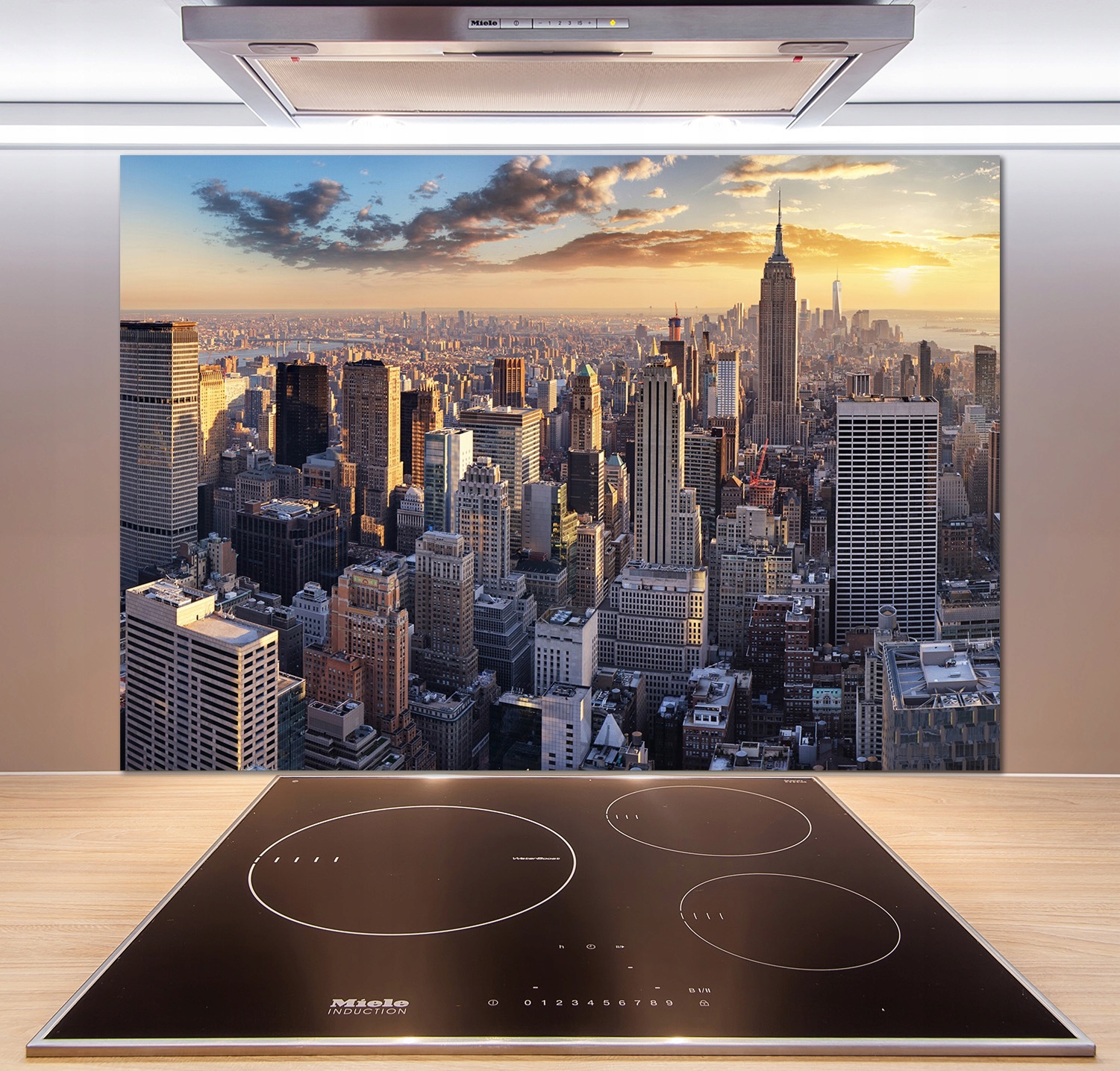 

Panel lacobel Nowy Jork lot ptaka 100x70 cm + Klej