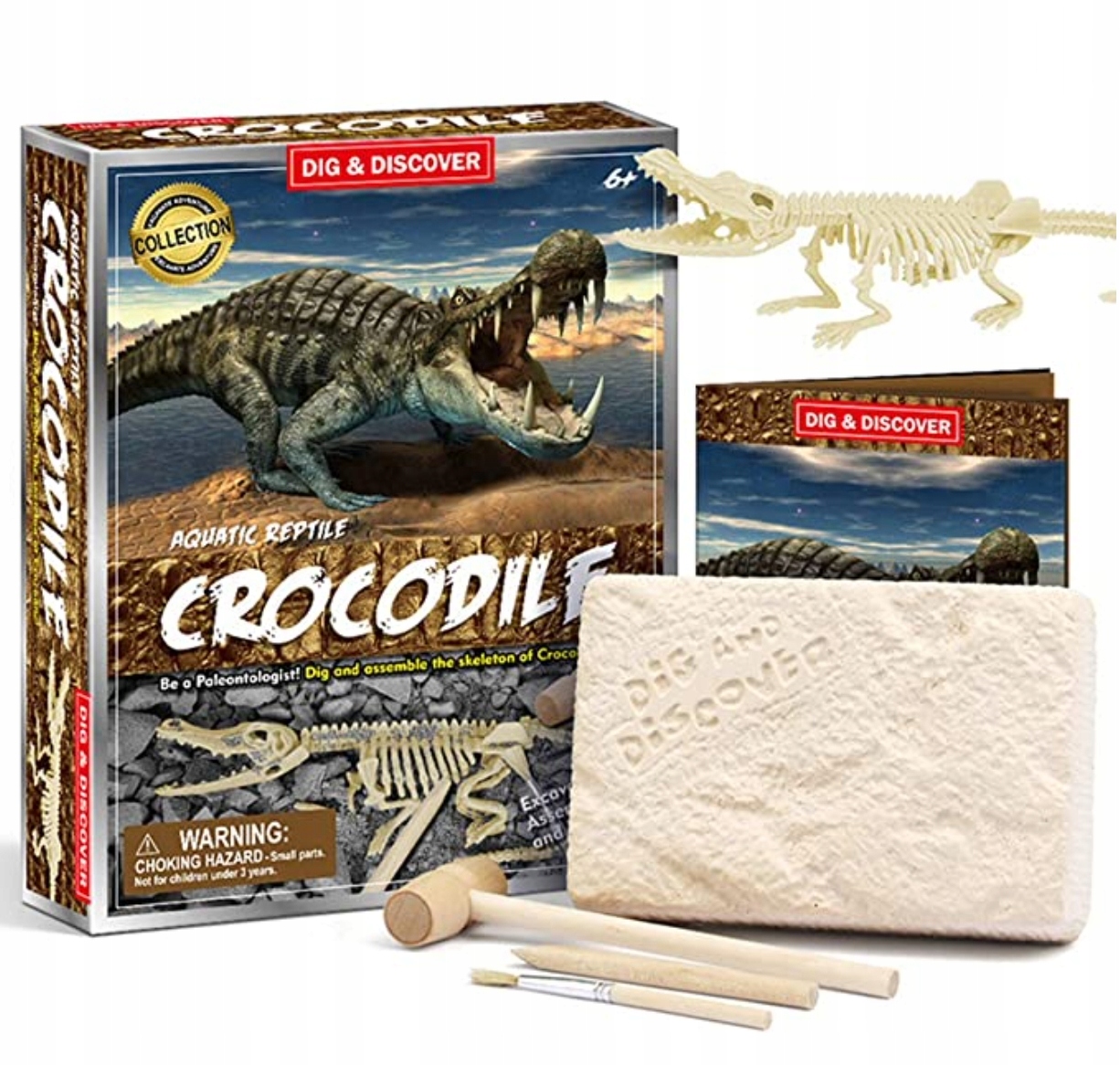 

Krokodyl Dinozaur -wykopalisko, Młody Paleontolog