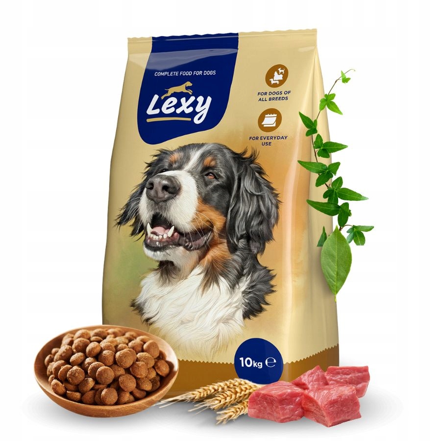 Levně Lexy kompletní suché krmivo pro dospělé aktivní psy Vitamíny 10 kg
