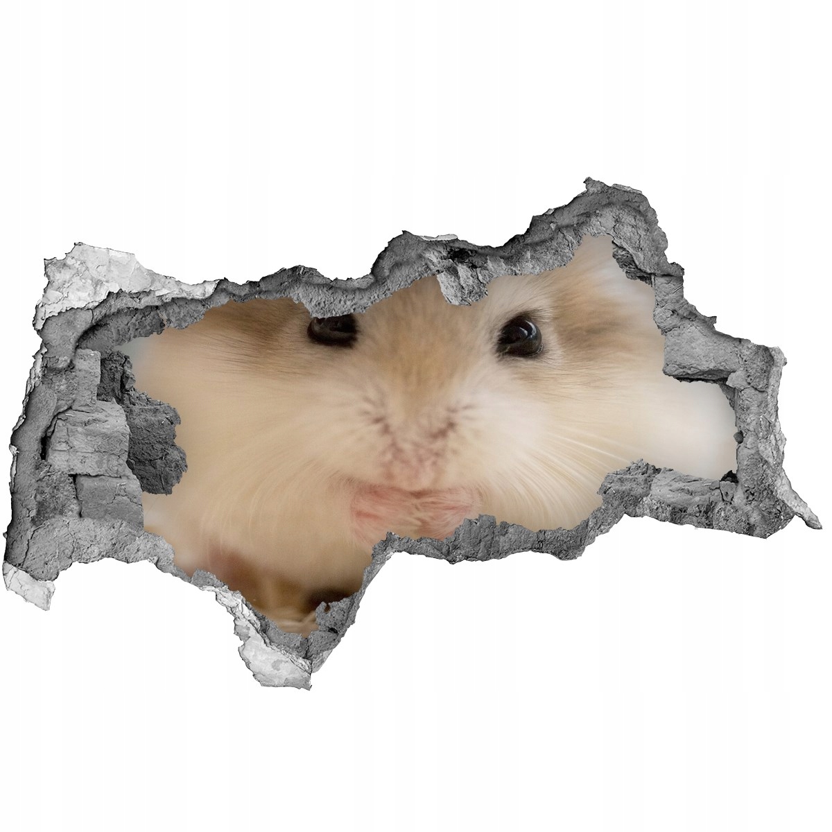 

Dziura 3d foto tapeta Naklejka Chomik 115x88