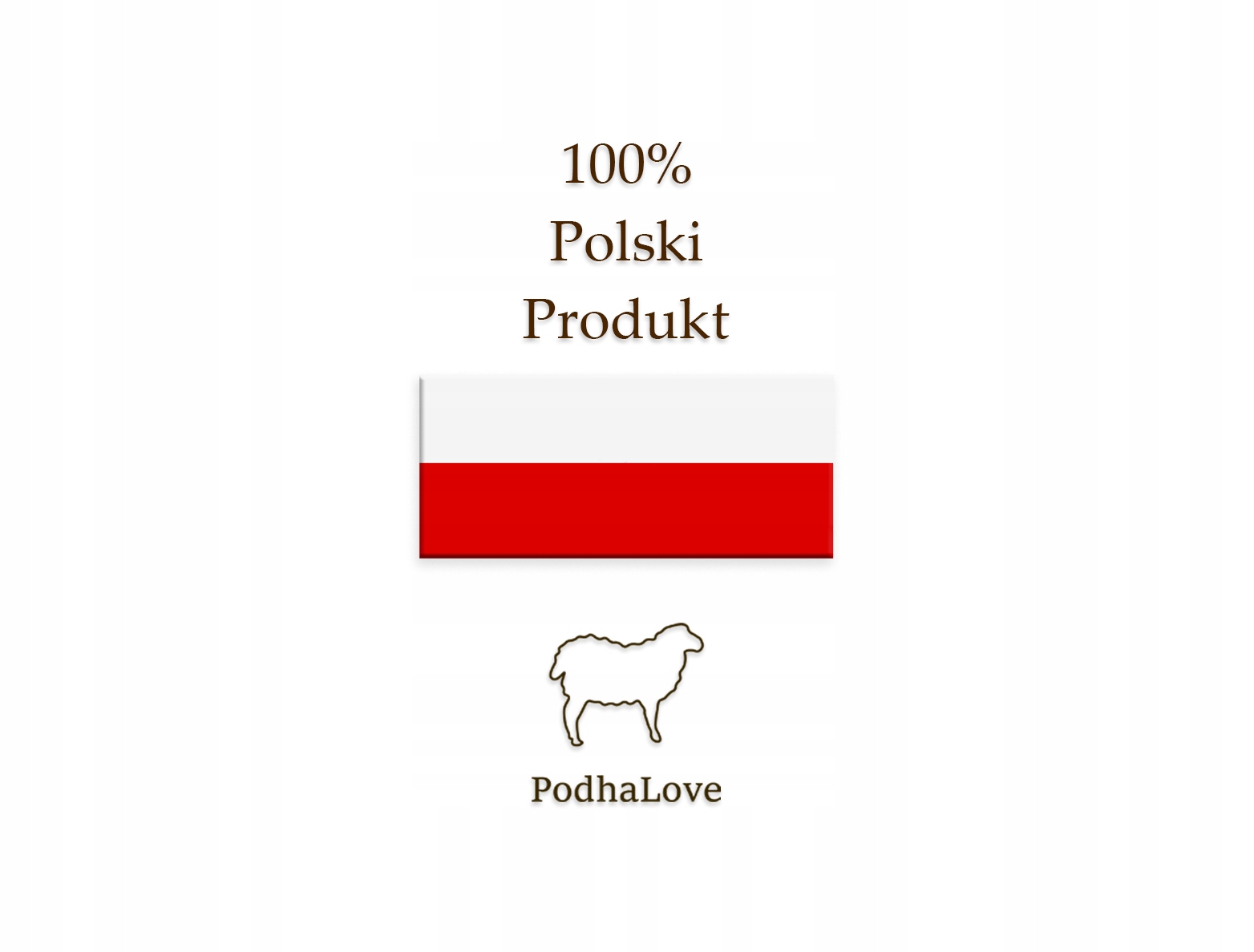 PANTOFLE KAPCIE DAMSKIE GÓRALSKIE SKÓRZANE KLAPKI CIAPY LACZKI PODHALOVE Kolor czerwony