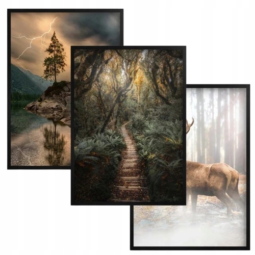 Plakaty Obrazy na ścianę ścienne Czarna ramka Las Góry ozdoba do salonu