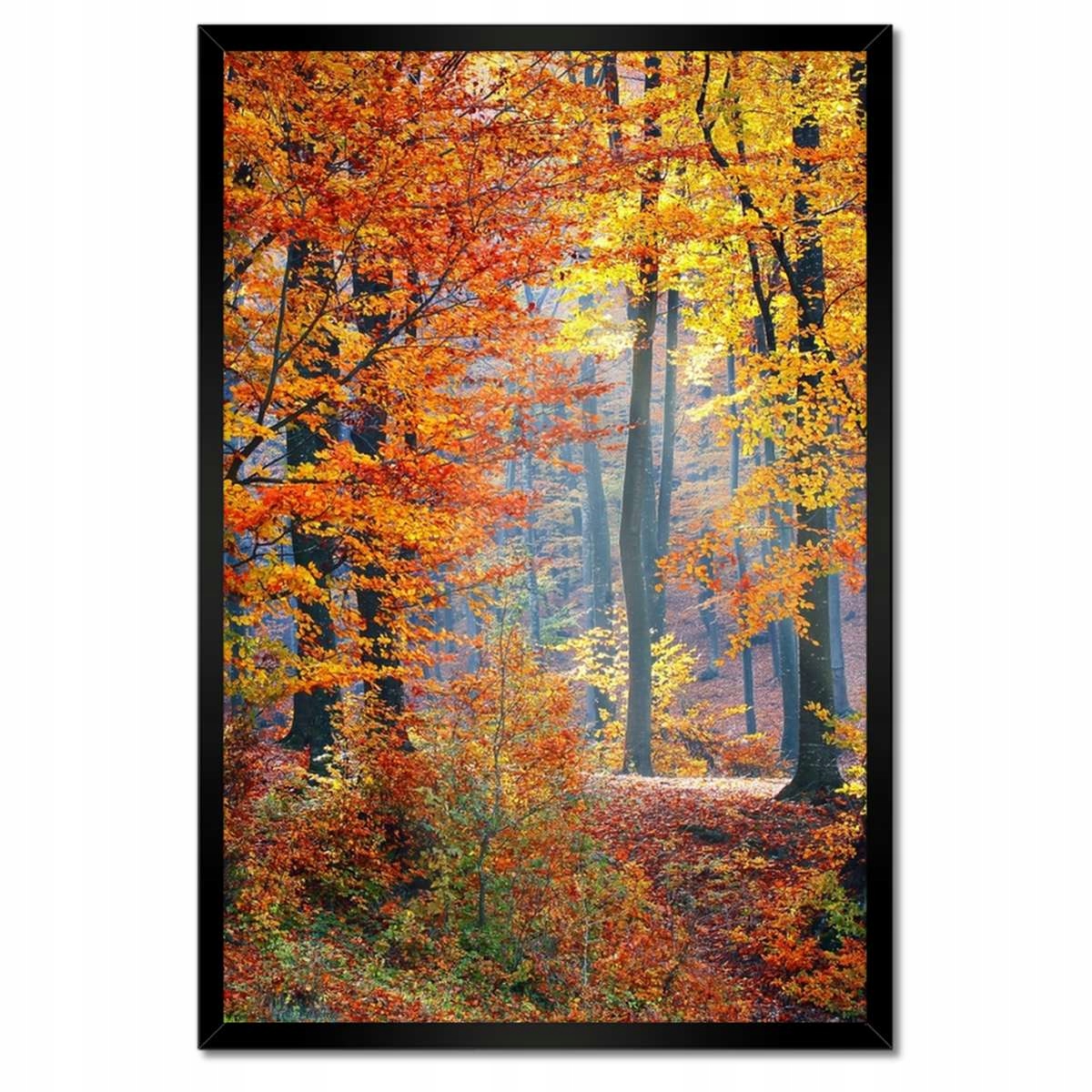 Plakáty v rámu 40x60 Zlatý podzim