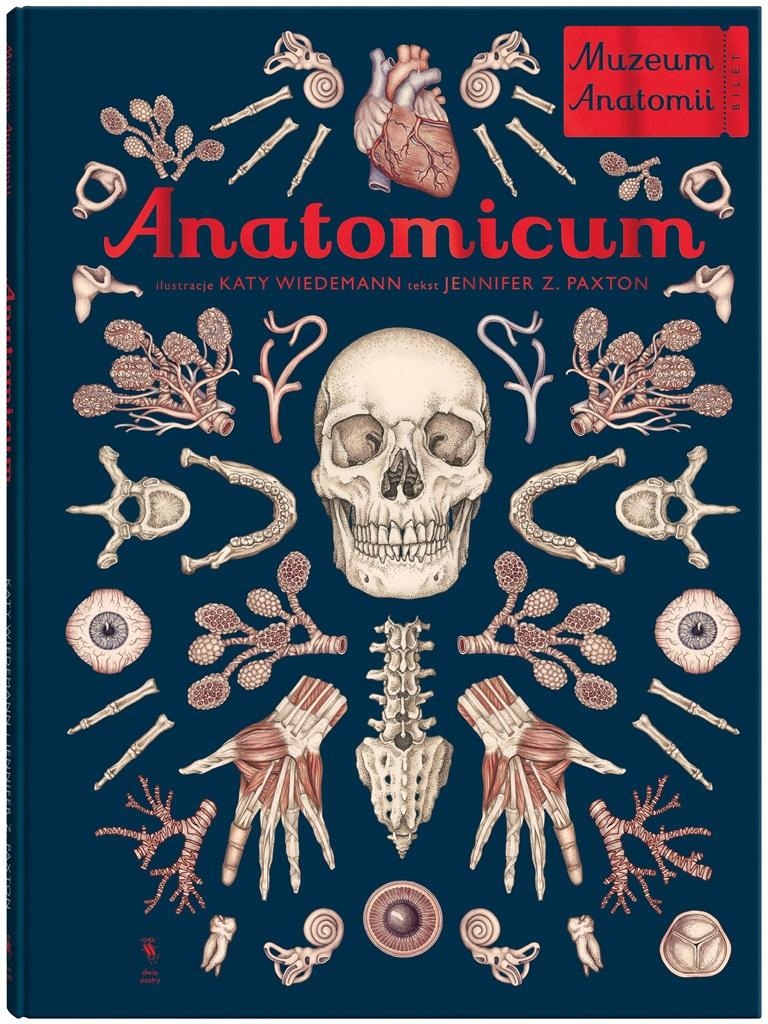 

Anatomicum. Muzeum Anatomii Jennifer..