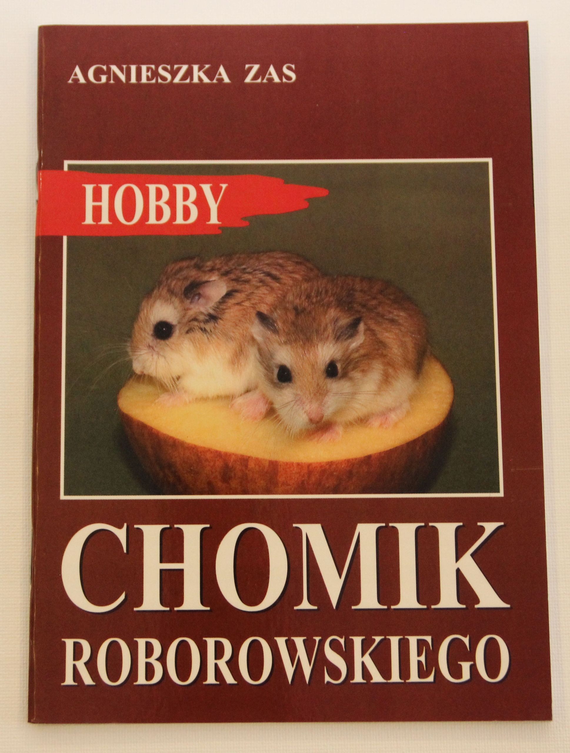 Chomik Roborowskiego Hobby Agnieszka Zas