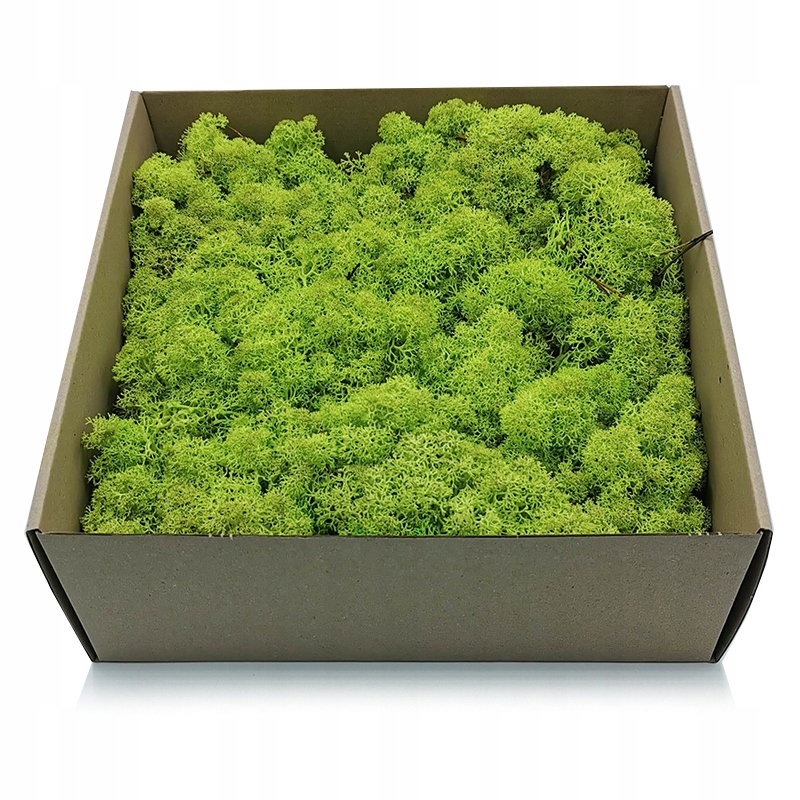 500g MECH CHROBOTEK reniferowy spring