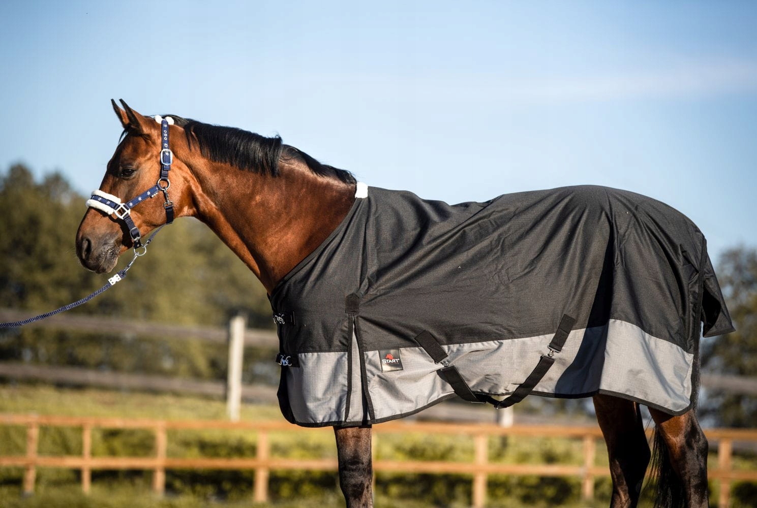 Derka padokowa dla konia i kuca START 2-tone 0g 600d podszyta polarem 125cm EAN (GTIN) 5901193909994