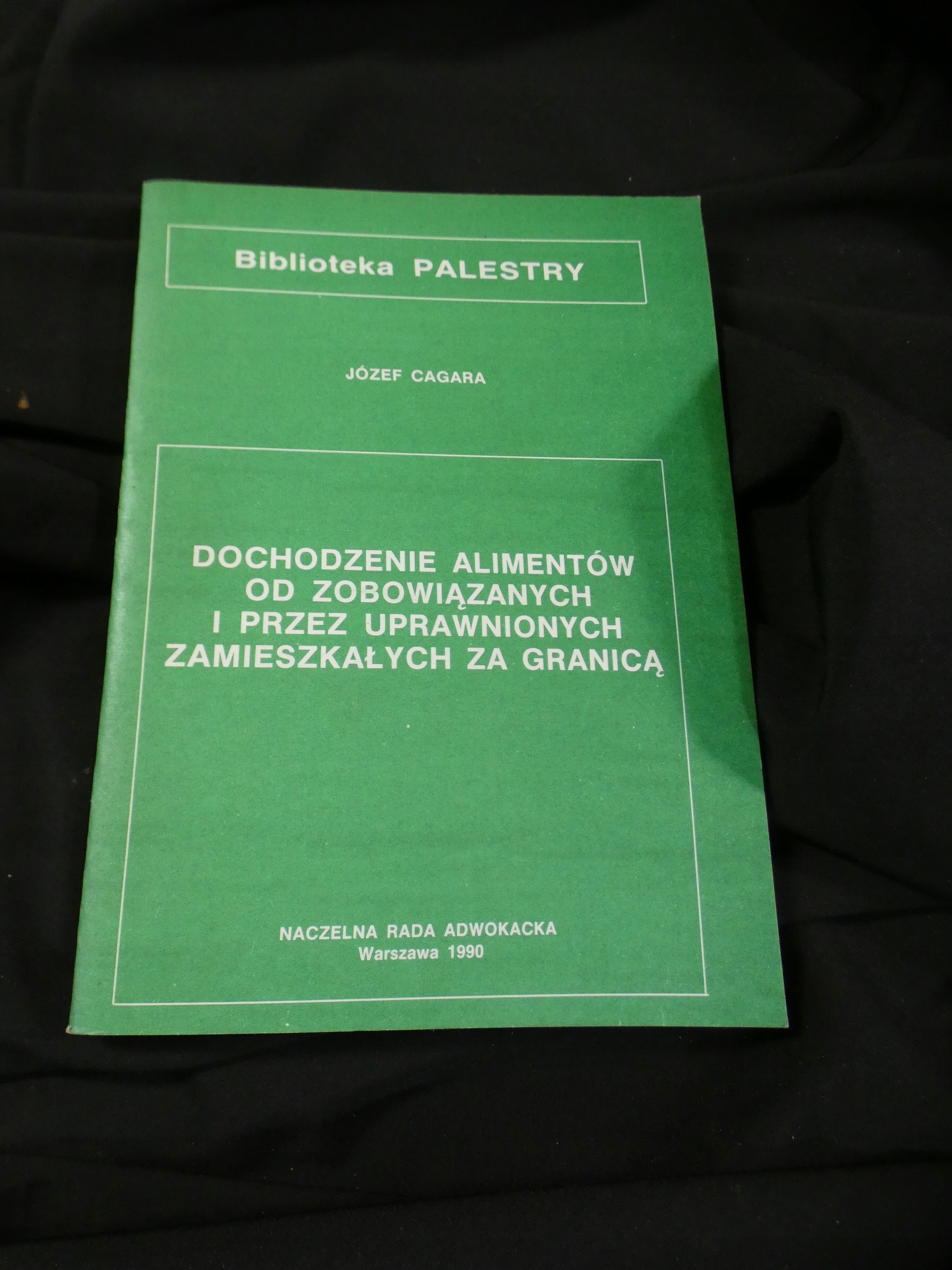 Dochodzenie alimentów od zobowiązanych Cagara