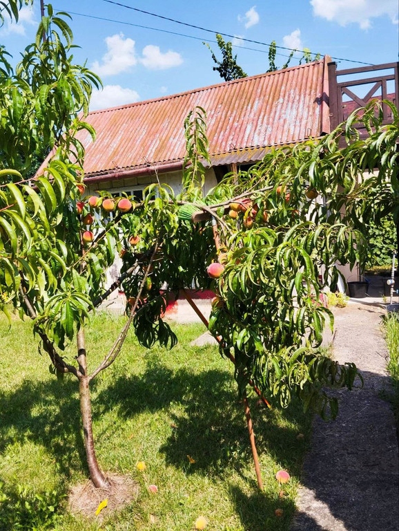 Dom, Kraków, Nowa Huta, 250 m²