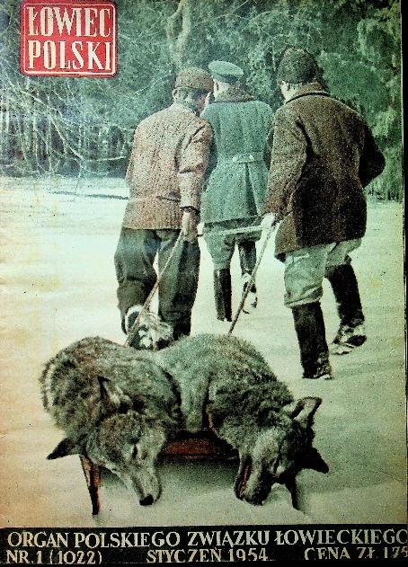 Łowiec Polski nr 1 do 12 rok 1954 - 1956