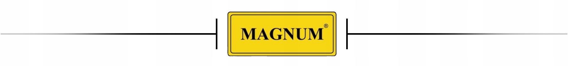 Prostownik Do Akumulatorów z Rozruchem DINAMIK 340 MAGNUM Inwerter 12 / 24V Marka Magnum