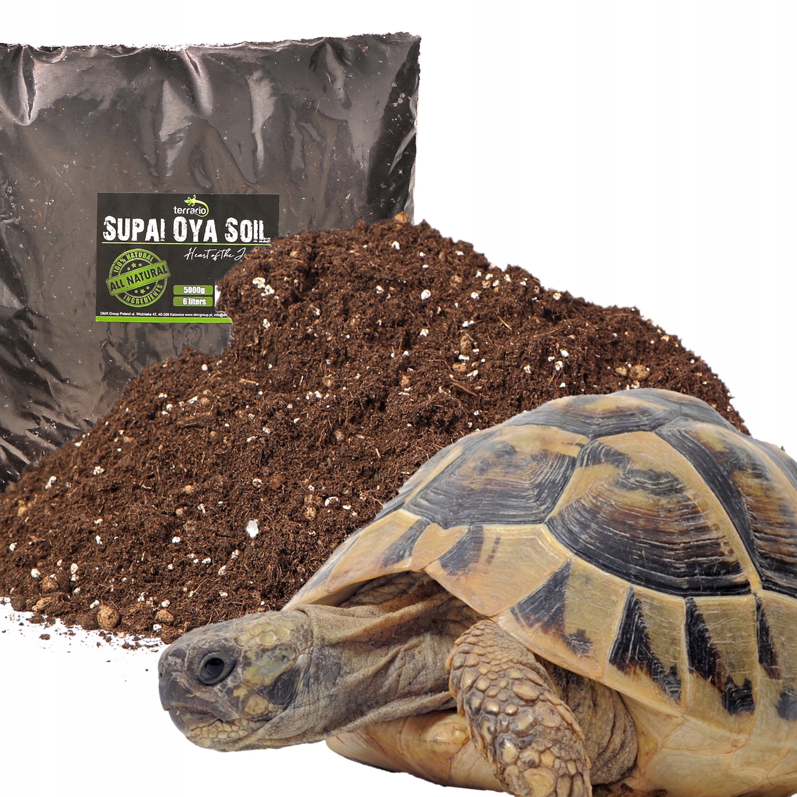 

Jakie Podłoże Dla Żółwia Do Terrarium Torf Ziemia