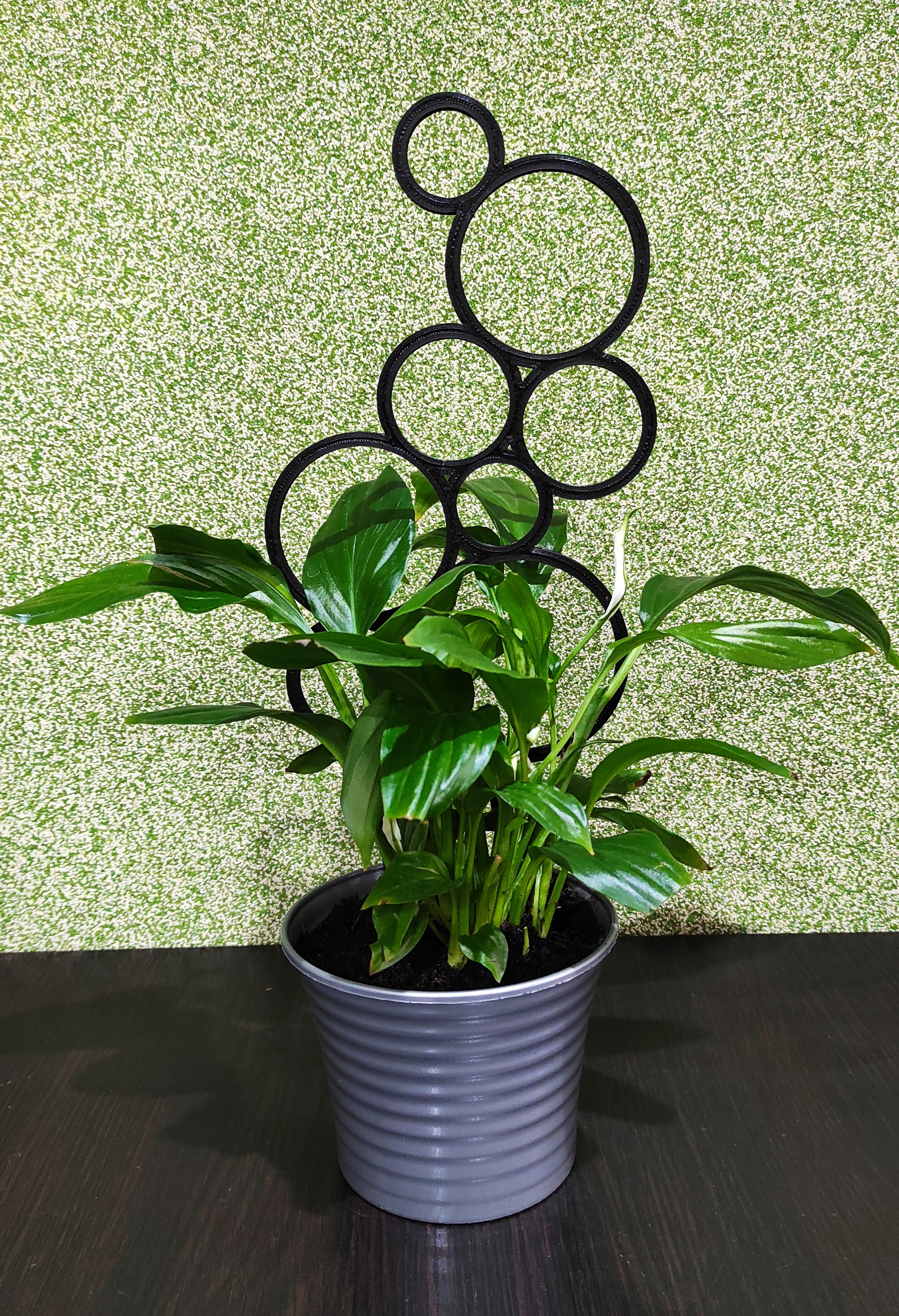 PODPÓRKA KWIATÓW ROŚLIN DRABINKA PERGOLA KOŁA 35cm Rodzaj drabinka