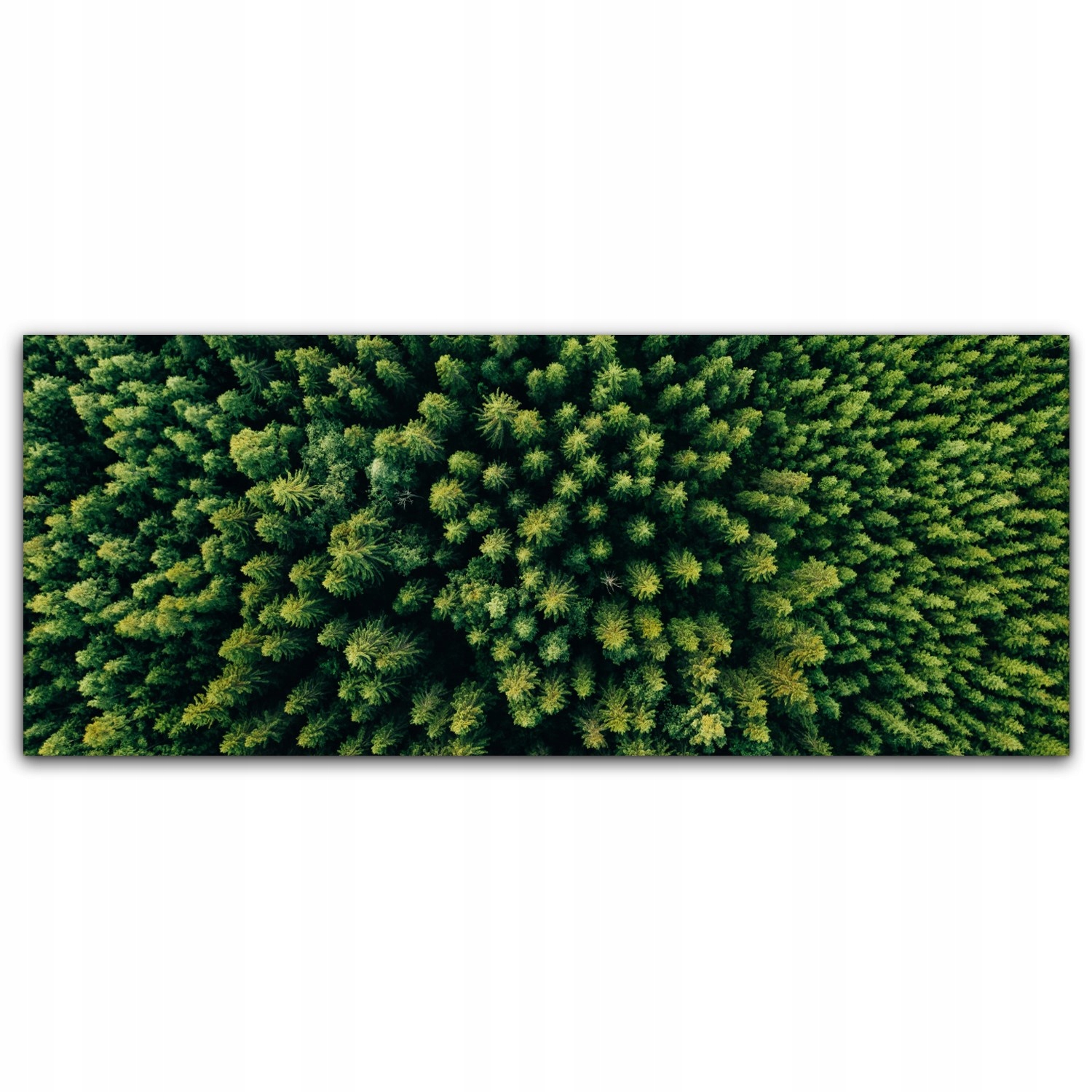 

Canvas płótno do sypialni 125x50 Drzewa Las Natura