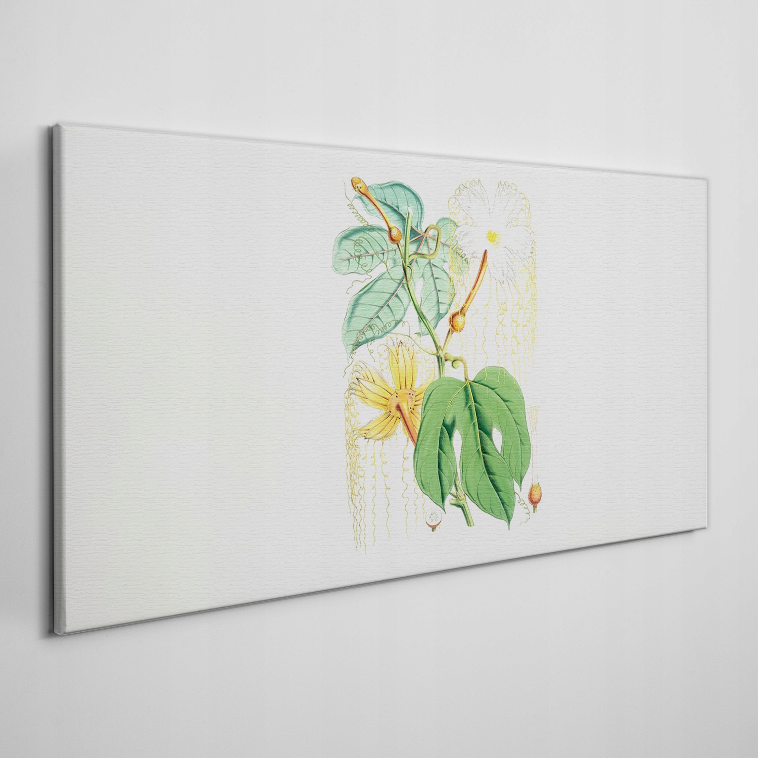 

Nowoczesny foto-obraz na płótnie Kwiaty 120x60 cm