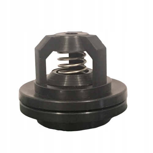 

Zaworek pompy P-120 opryskiwacza Biardzki
