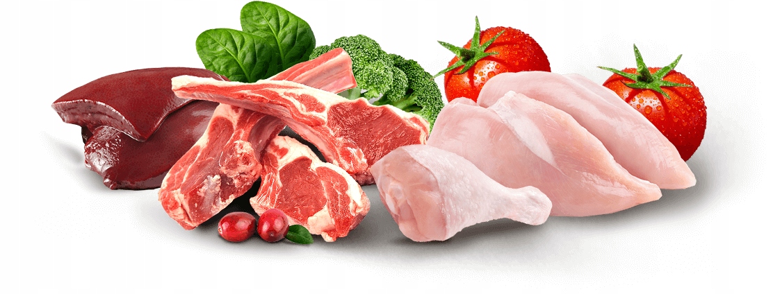 Tula Krmivo pro kočky s lososem a spirulinou v omáčce