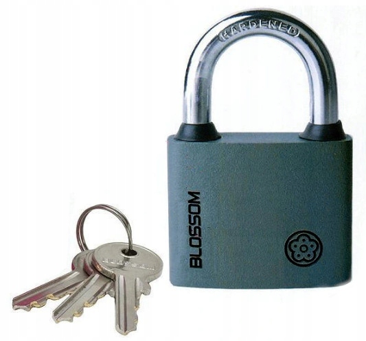 

Kłódka Do Szafki Walizki Bagażu Blossom 32 mm