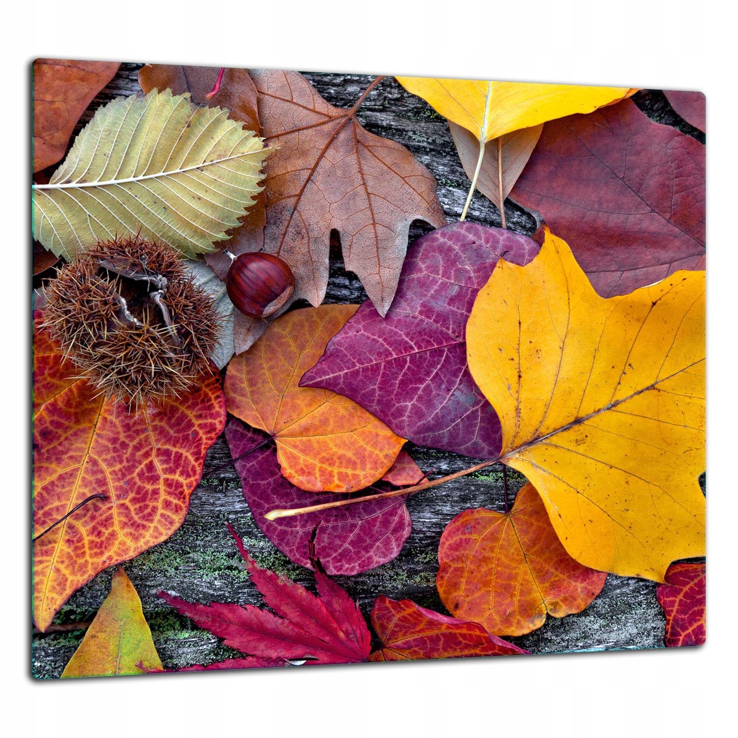 Skleněná Ochranná Deska Panel Lepidlo 65x60 Podzim