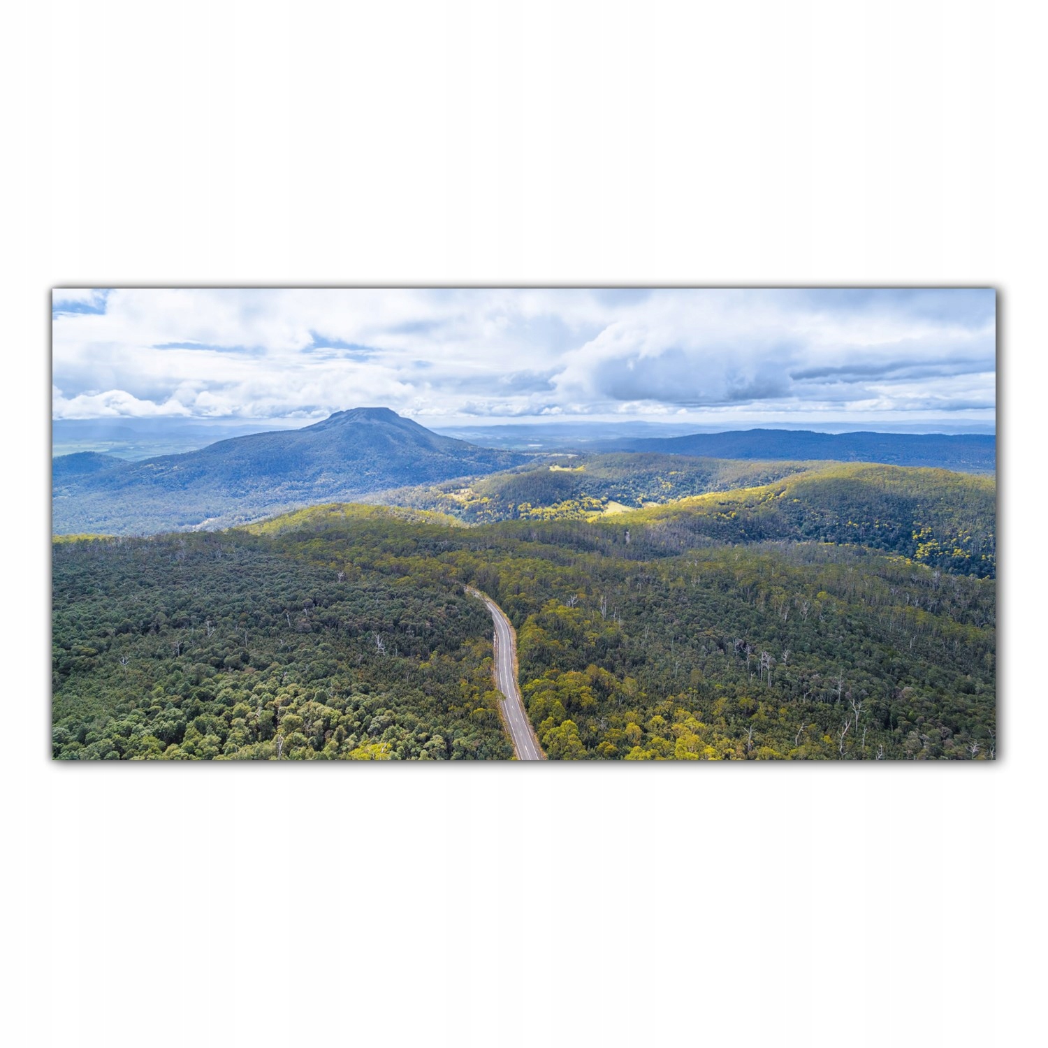 

Obraz na szkle Foto Góry Las Natura Drzewa 120x60