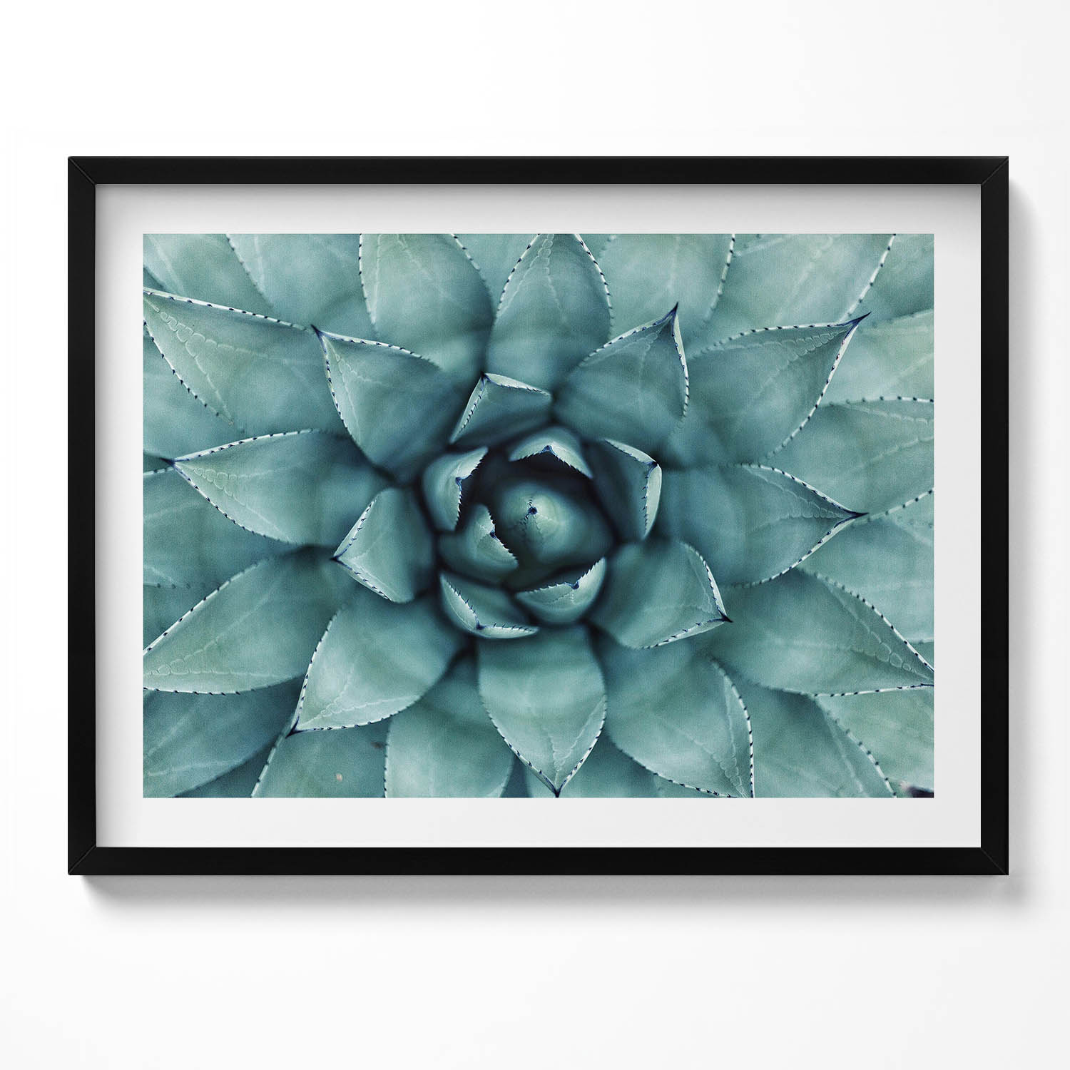 Dekorativní nástěnný obraz v rámu s grafikou Zelená rostlina sukulent 80x60 cm