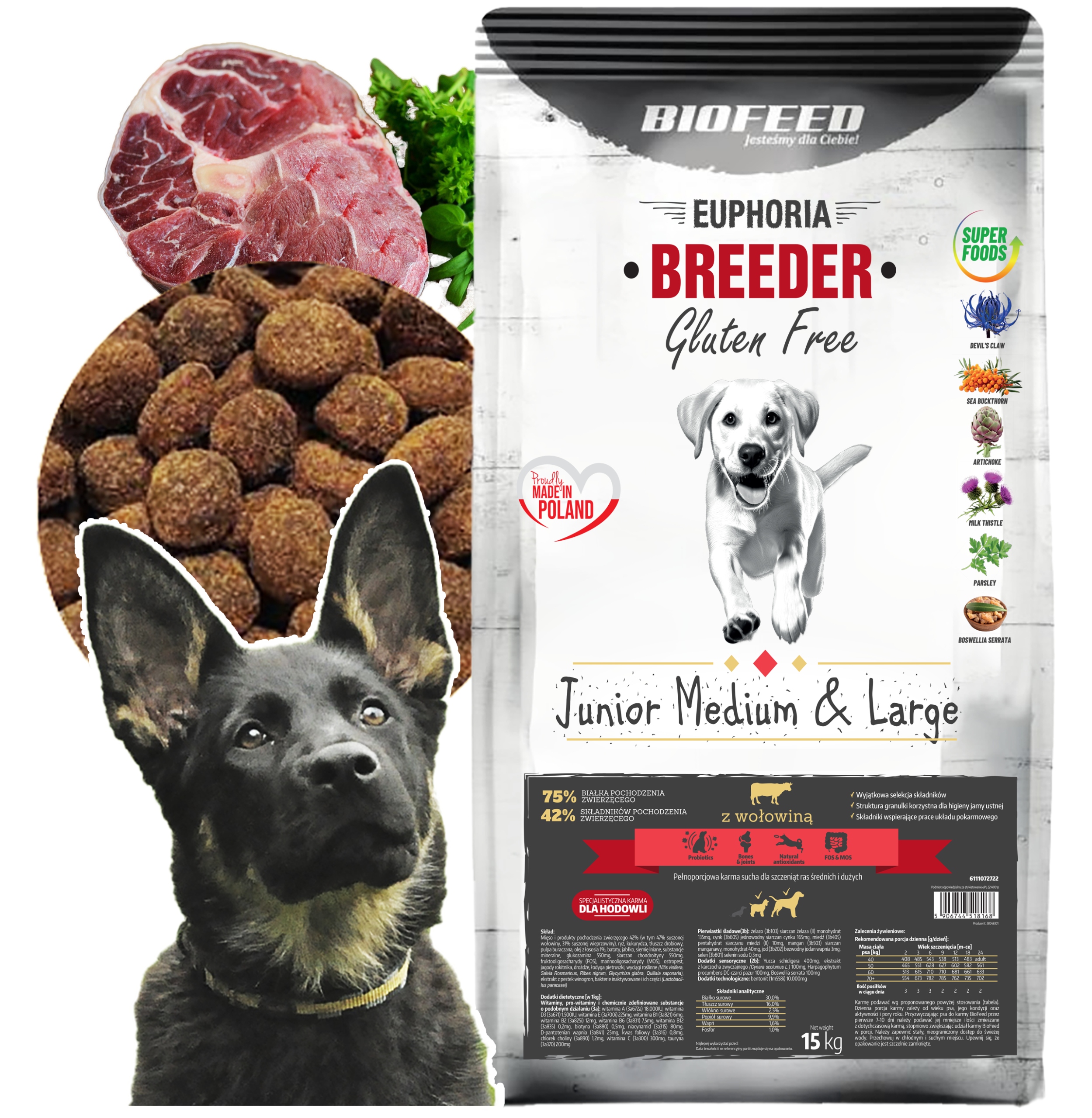 Levně Biofeed Euphoria krmivo Bez Lepku Junior velká plemena Hovězí 15 kg+ Bonus