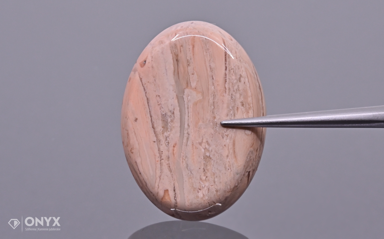 Zkamenělá palma konvexní mělká ovál 25x18,5 mm