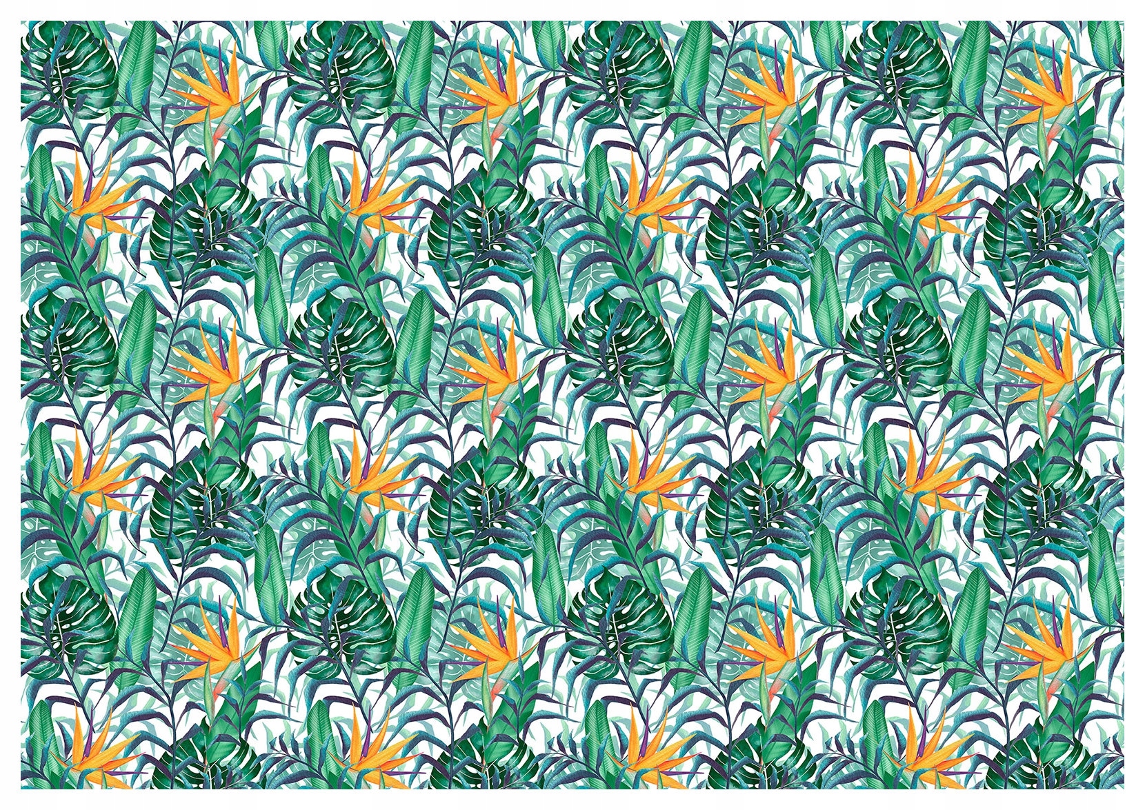 Vliesová fototapeta Tropický ráj Strelicie a exotika 200x140 lepidlo