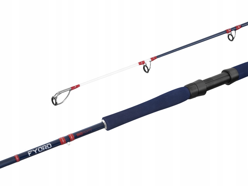 Wędka Delphin Fyord Bigboat Morska/sumowa 220CM/300-400G/2 Składy