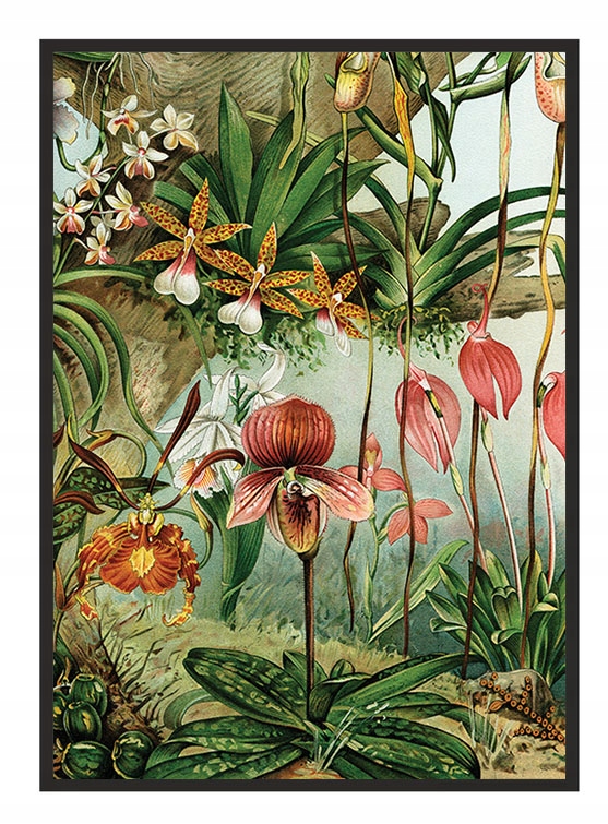 

Obraz Plakat Rama 53x73 cm Kwiaty P1957
