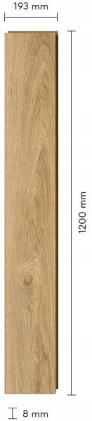 Panele Podłogowe Dąb Freesia 120043199 AGT Wodoodporne AC3 8 mm 2.29m2 Kolekcja AGT Promo