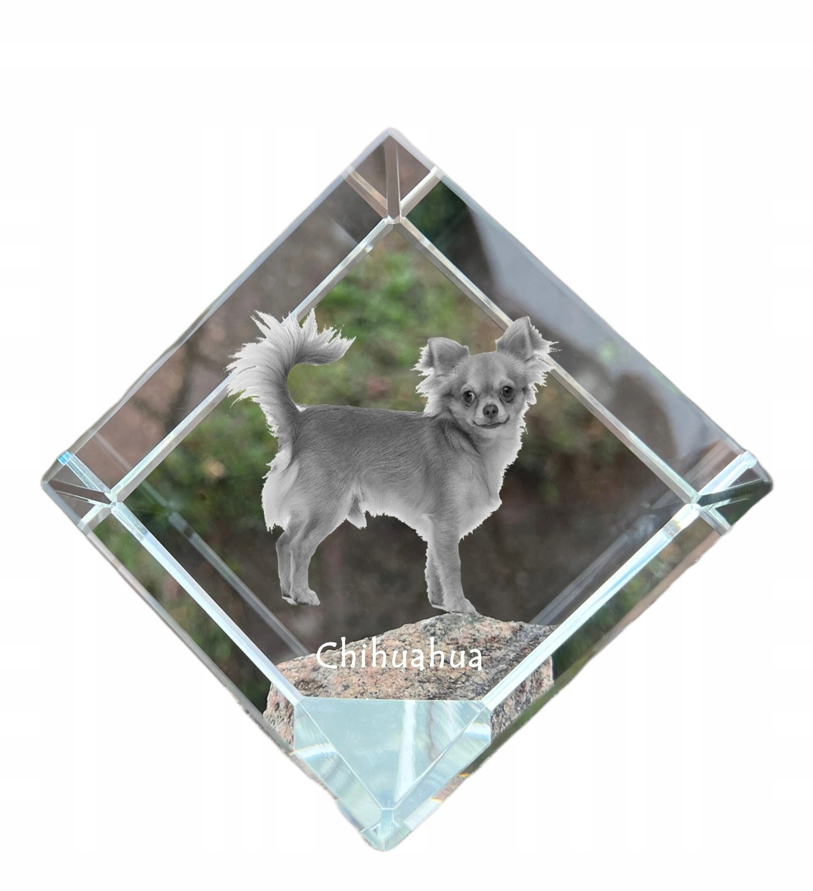 Chihuahua krátkosrstá krištáľová kocka s fotografiou psa, ozdoba na stôl
