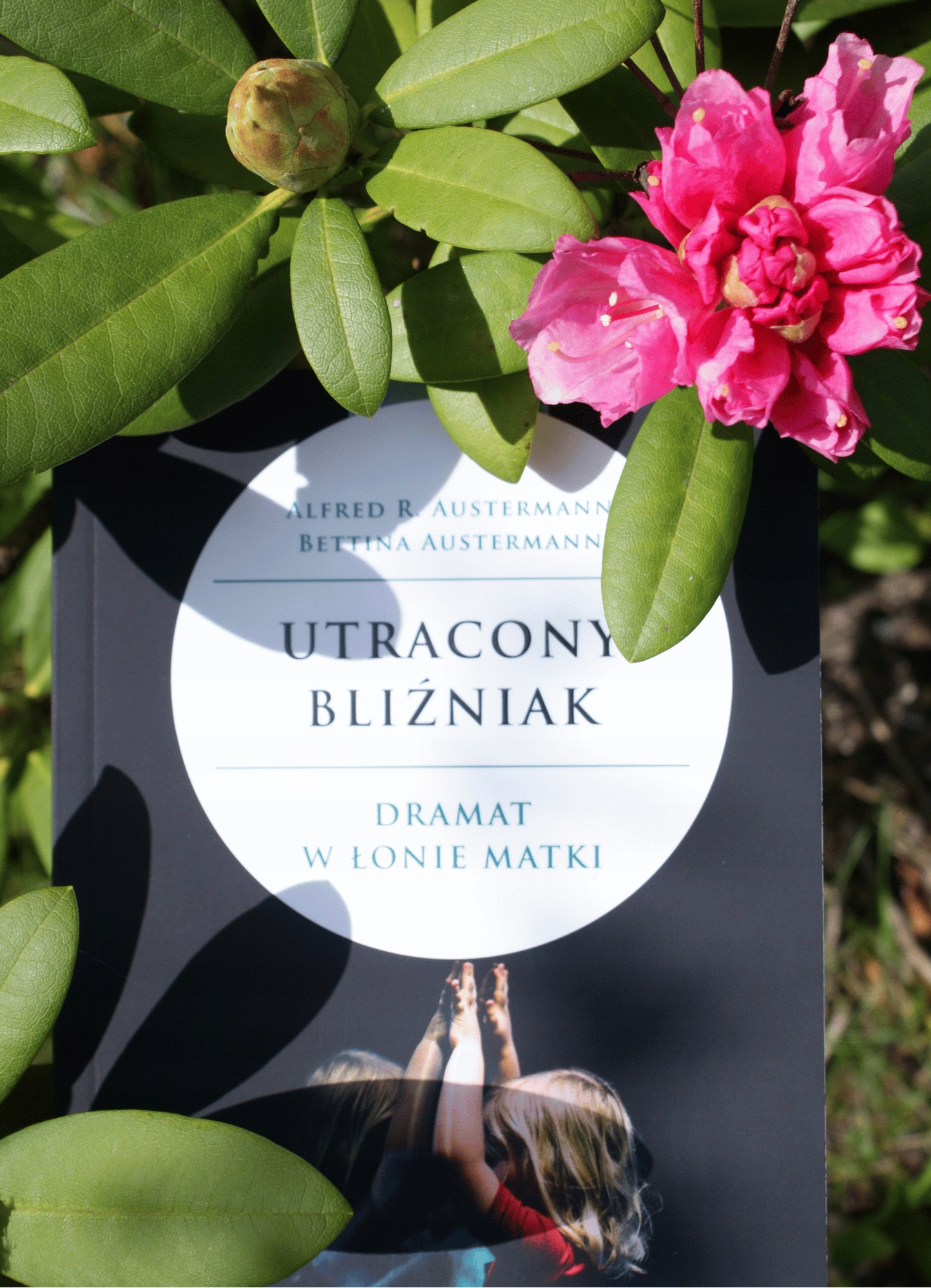 UTRACONY BLIŹNIAK Język publikacji polski