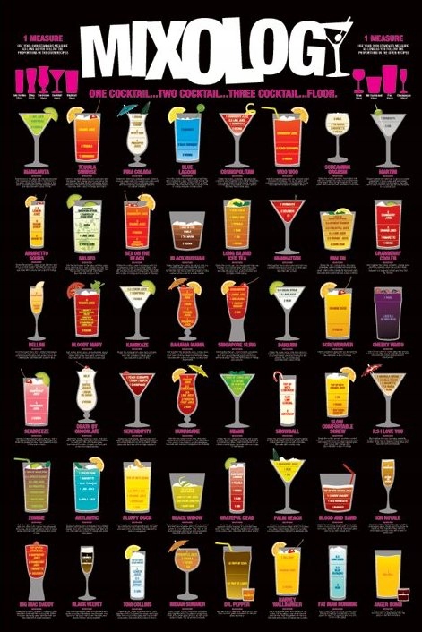 

Mixology Drinki Przepisy plakat 61x91,5 cm