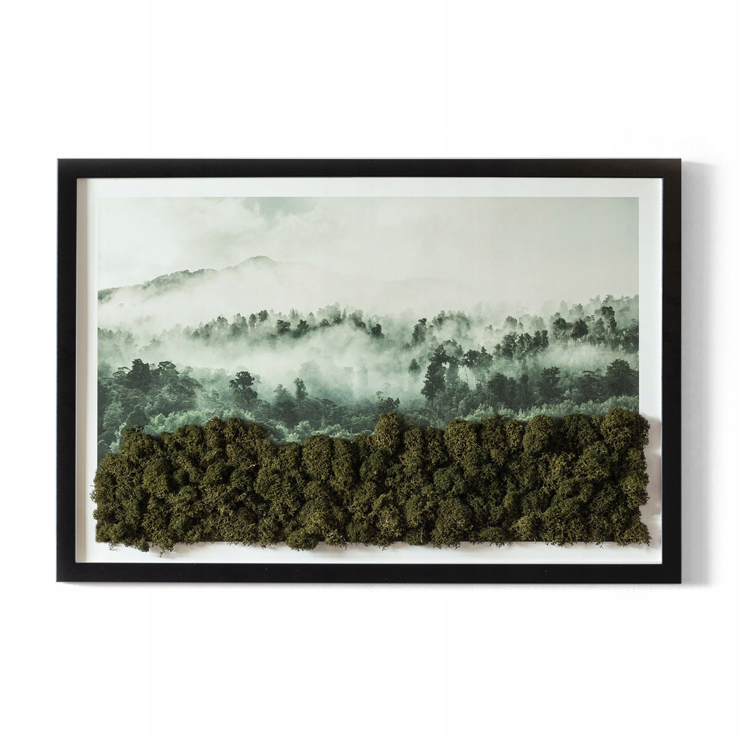 Obraz z mchu w ramie MDF Las mgłą spowity 60x40