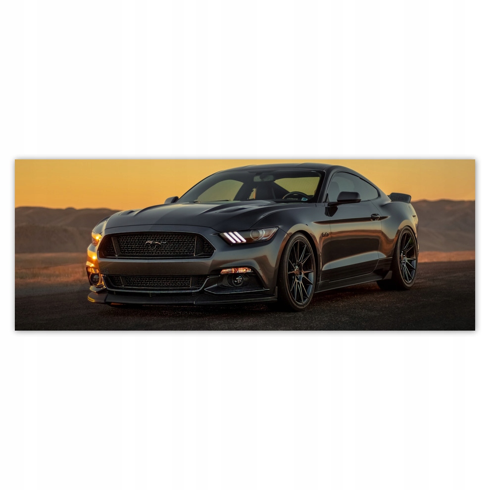 

Fototapety flizelina 250x93 Ford Mustang Usa