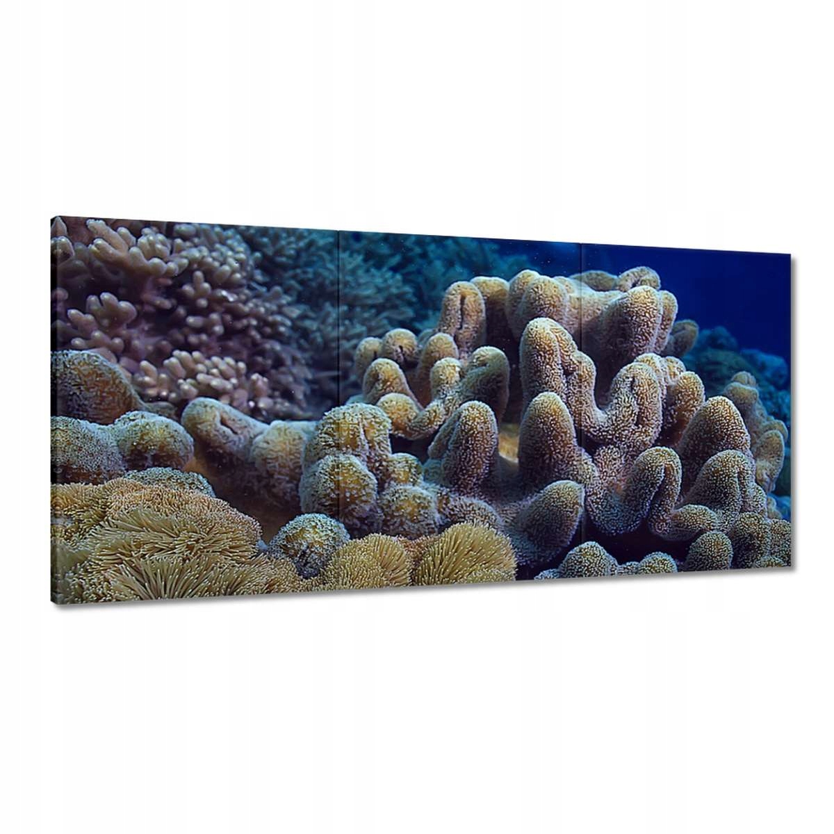 Obrazy 180x90 Žltý koralový útes