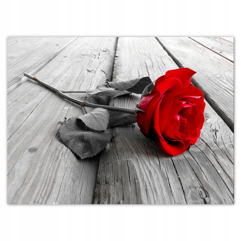 

Naklejki 135x100 Czerwona róża na deskach