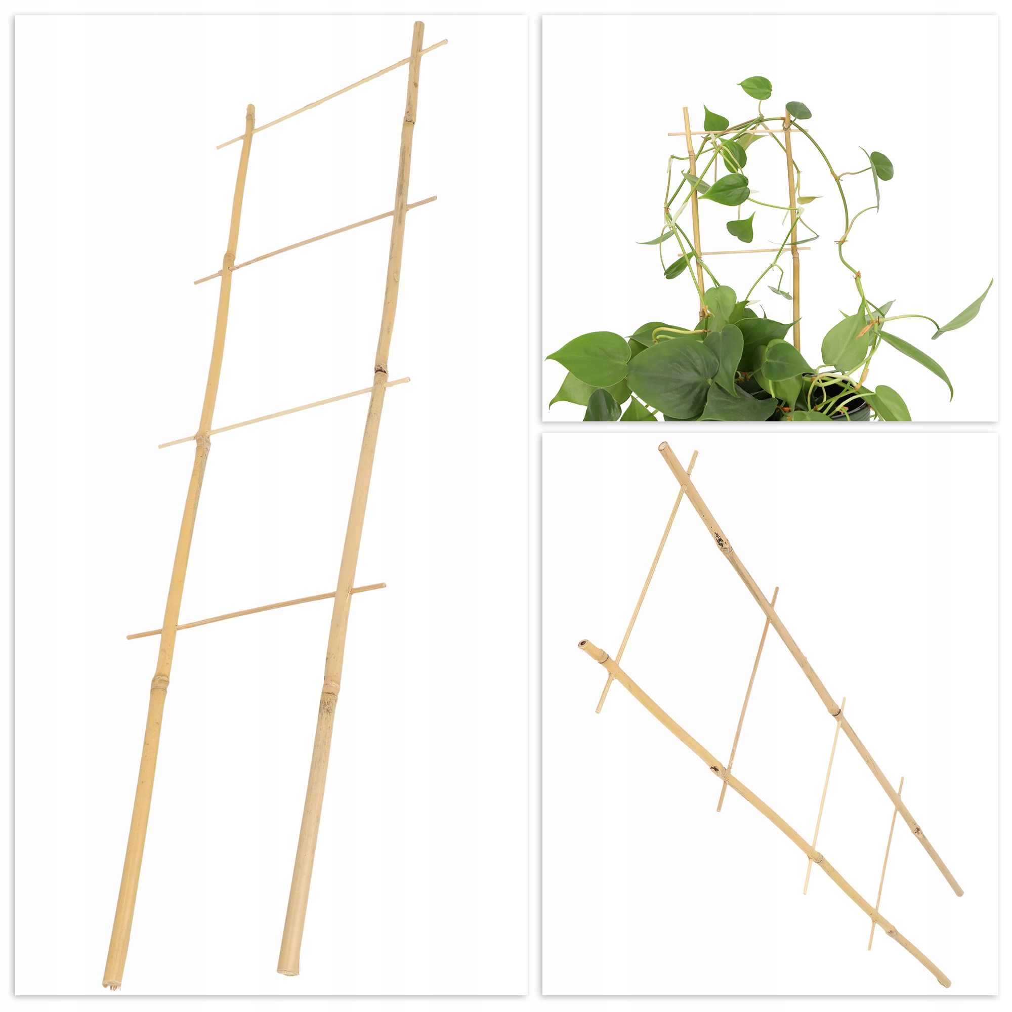 DRABINKA BAMBUSOWA PERGOLA PODPORA 60 CM 5 SZT Szerokość produktu 18.3 cm