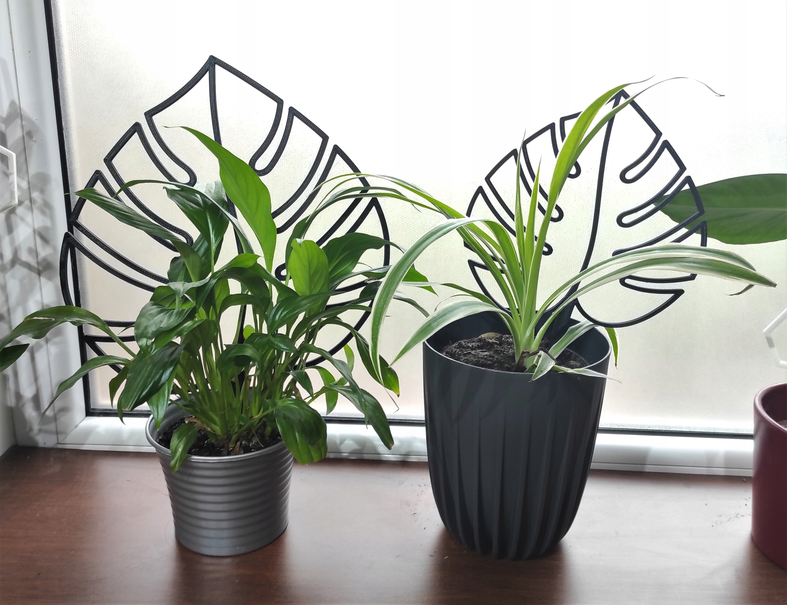 2x PODPÓRKA OZDOBA KWIATÓW ROŚLIN PERGOLA MONSTERA Rodzaj drabinka