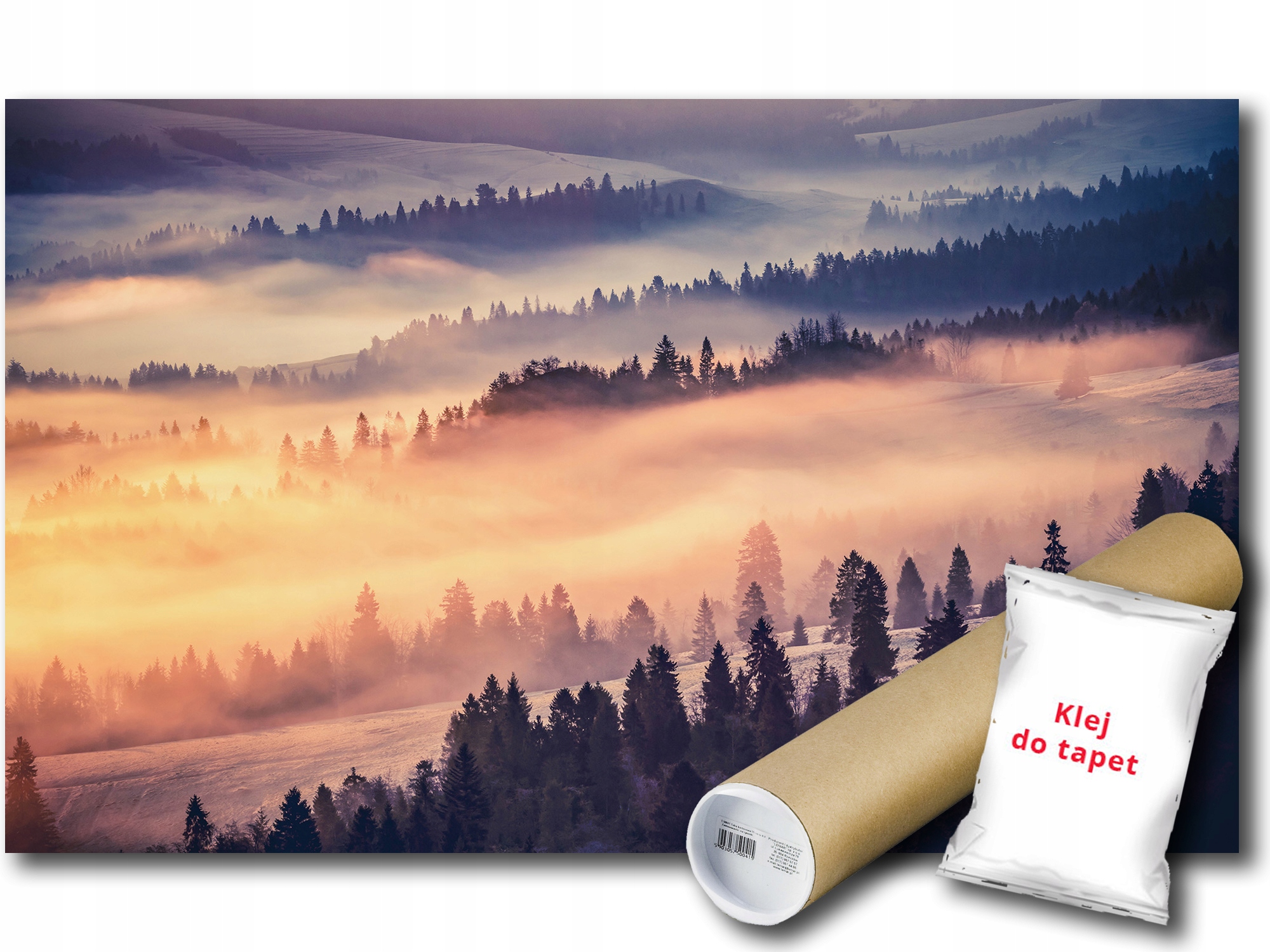 Vinylová Fototapeta Les Zima Hory Pohled 416x290