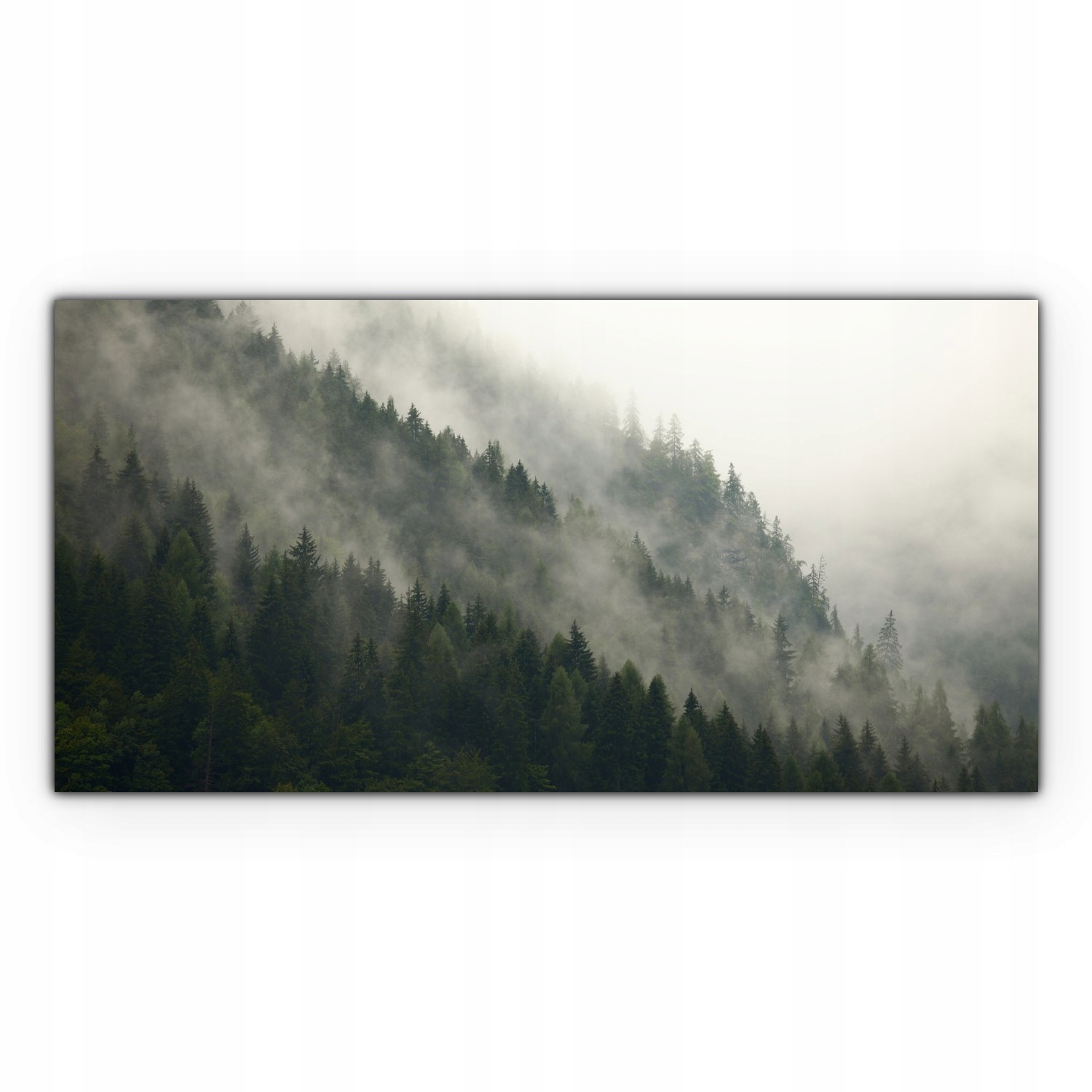 

Fotoobraz na płótnie 120x60 Góry Mgła Las Drzewa