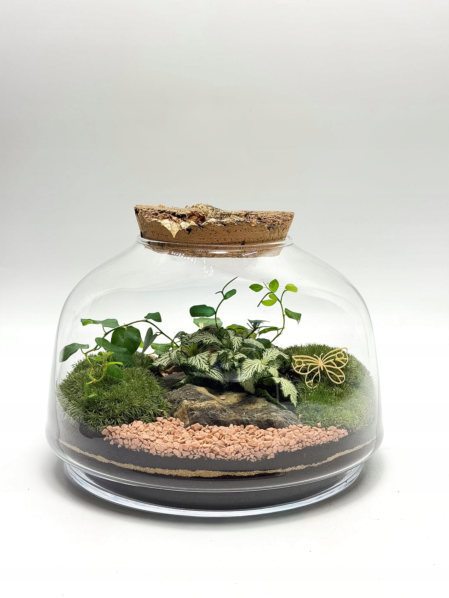 Les ve skle Sklenice s korkem Ekosystém Živé rostliny Dárek Dekorace 23 cm