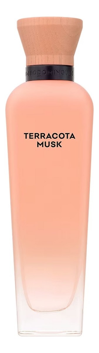 Adolfo Dominguez Terracota Musk parfémovaná voda sprej 120 ml