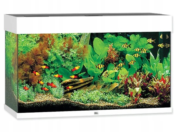Juwel Rio Led 125 Bílý Akvarijní Set 81x36x50cm, 125l, Kompletní Vybavení