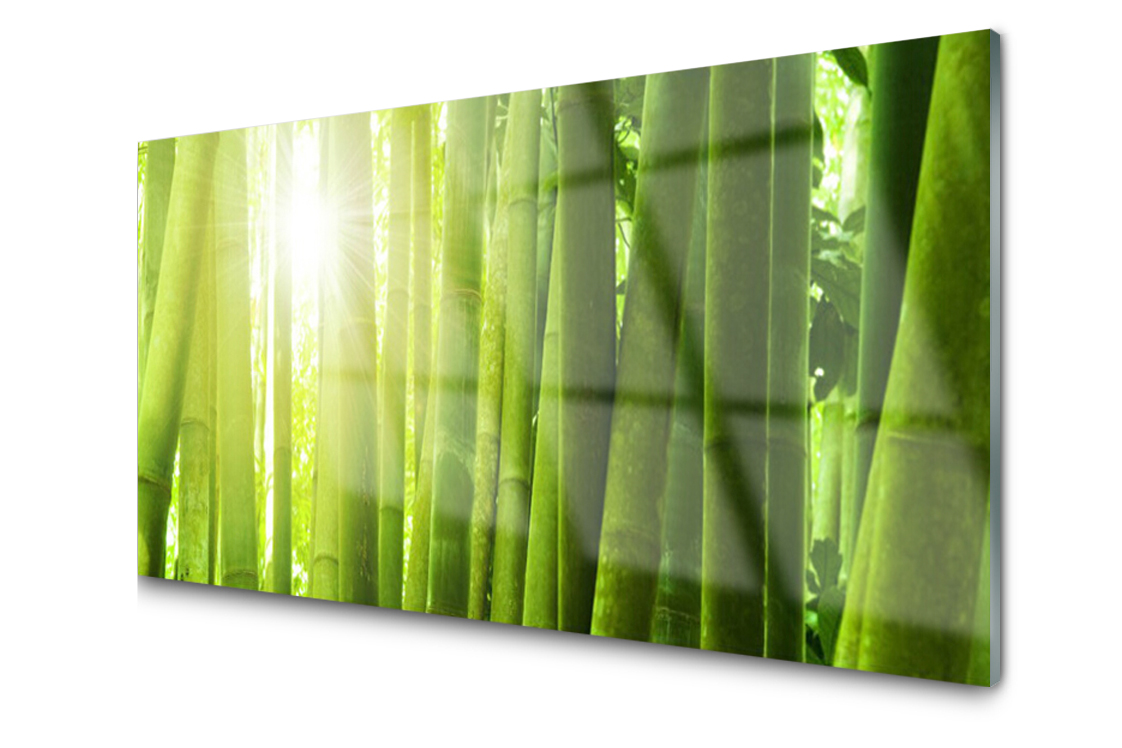 

Panel szklany dekor Bambus Roślina 120x60 + Klej