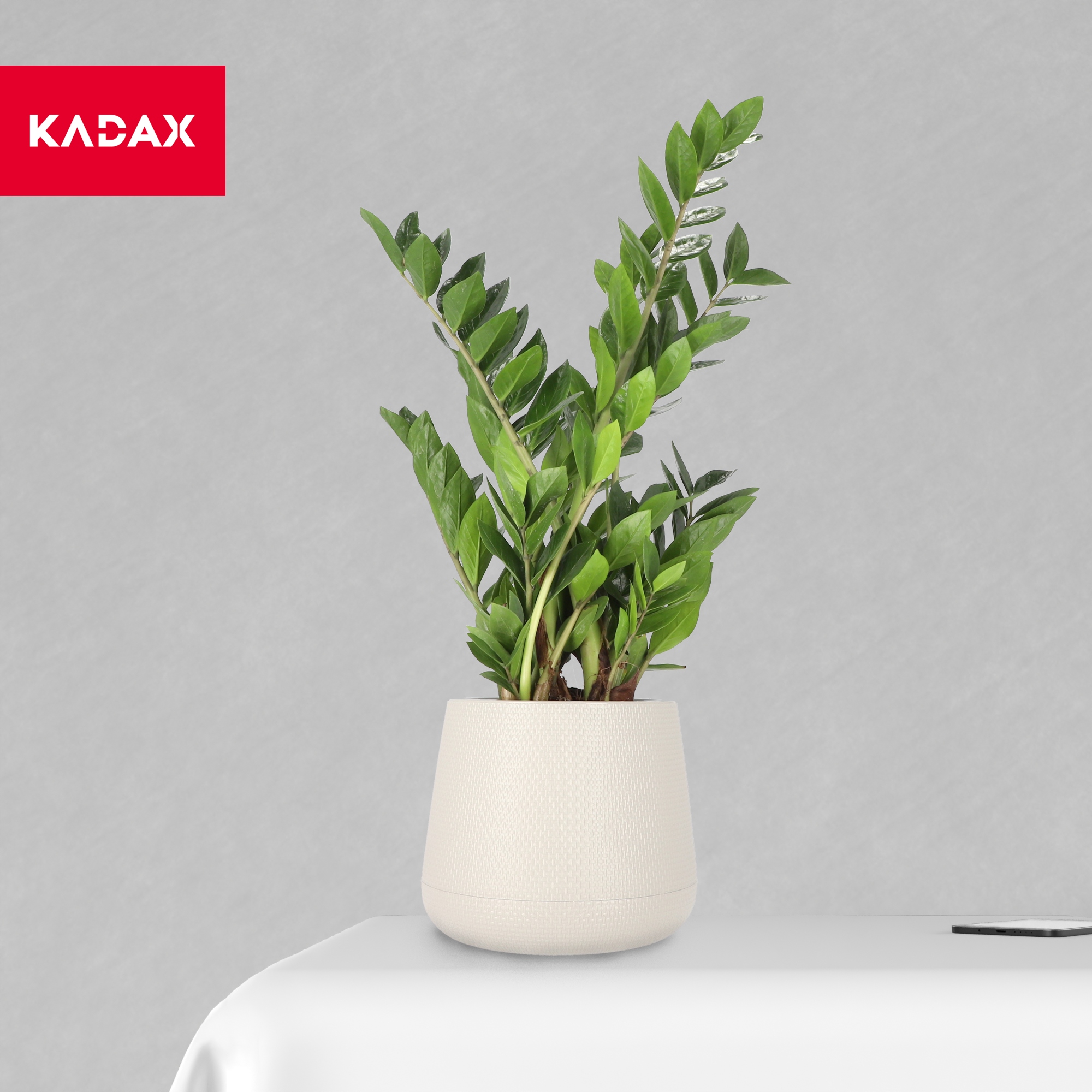 DONICZKA OSŁONKA NA KWIATY PODSTAWKA BEŻOWA 13cm Rodzaj doniczka