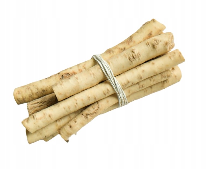 Čerstvý Kořen Křenu 5 Kg Křen K Nakládání A Strouhání 2025 Pl