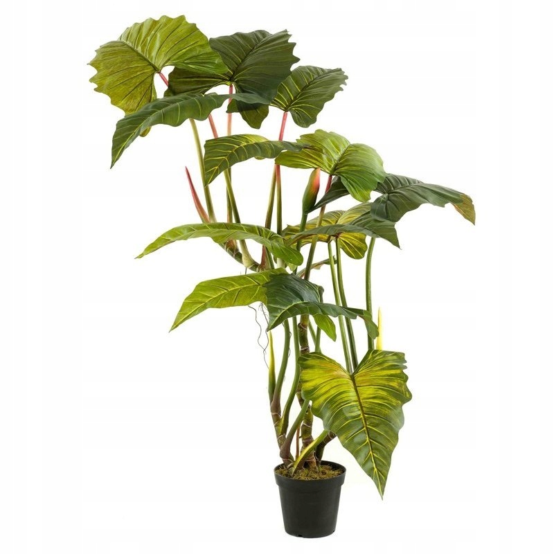 niesamowita sztuczna Kolokazja 200 cm duże liście colocasia filodendron