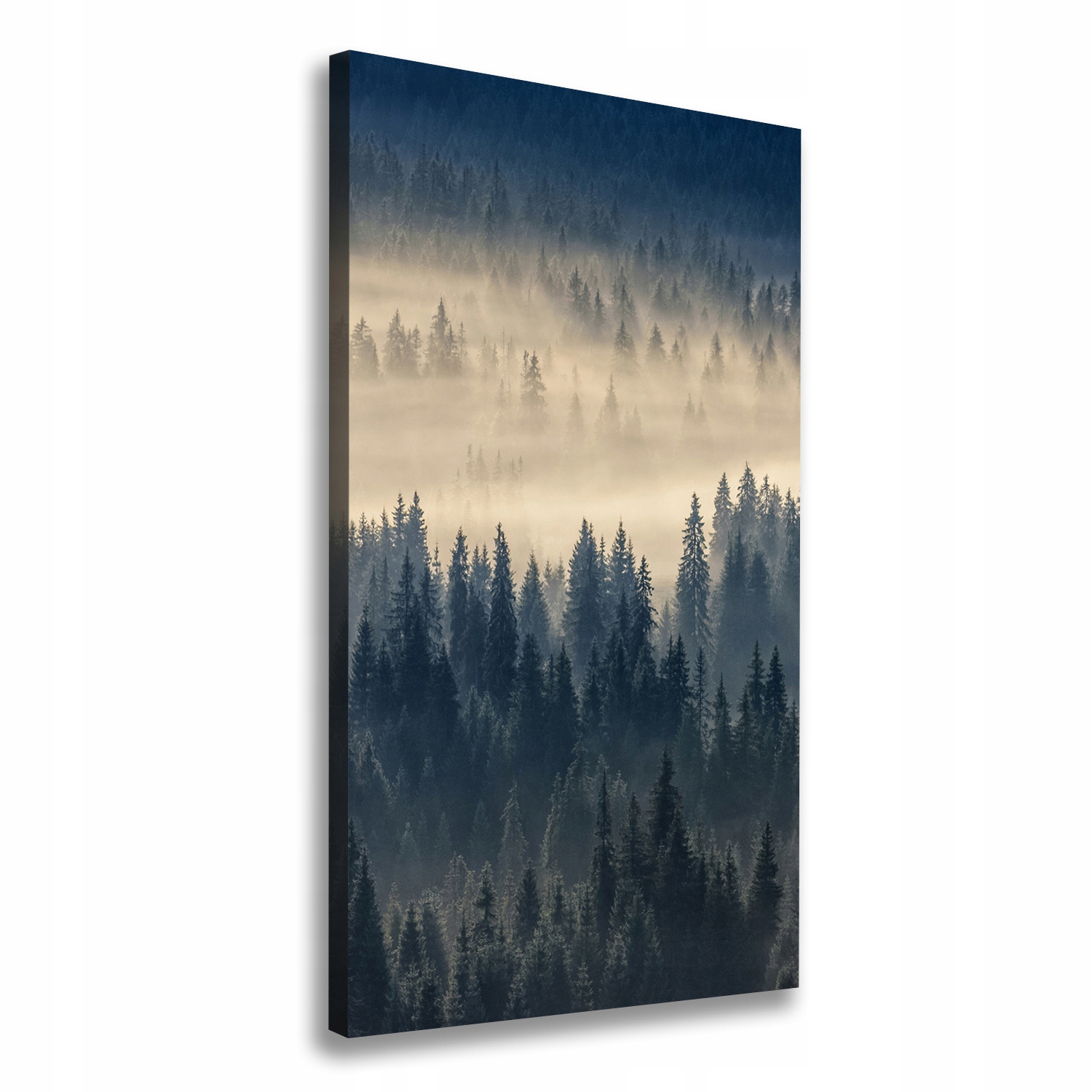 

Foto obraz na płótnie Mgła nad lasem 70x140 cm